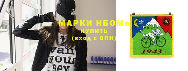 хмурый Кодинск