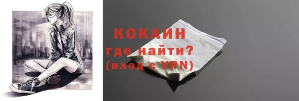хмурый Кодинск