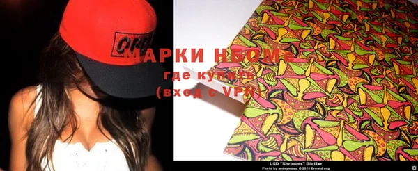 хмурый Кодинск