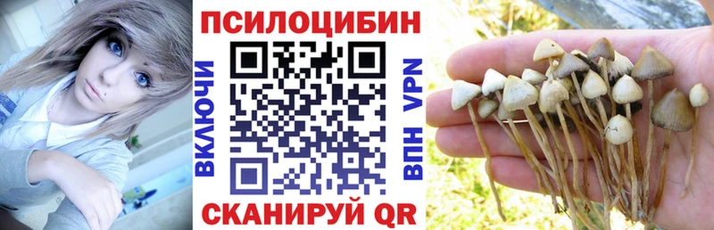 Галлюциногенные грибы Psilocybine cubensis  Купить закладки  Красный Кут 