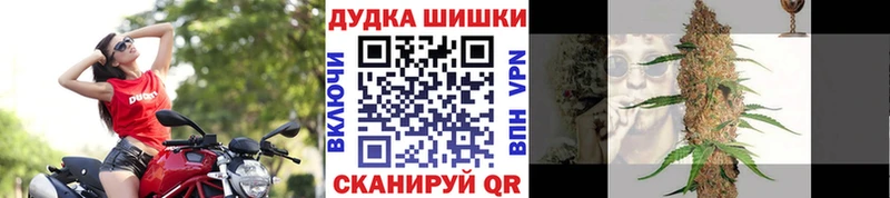 Бошки Шишки MAZAR  Купить  Красный Кут 
